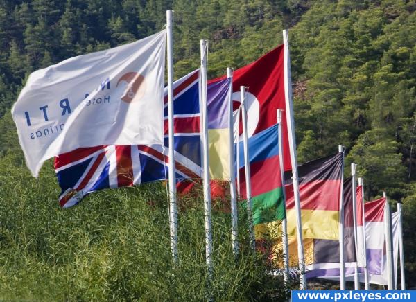 Row of Flags